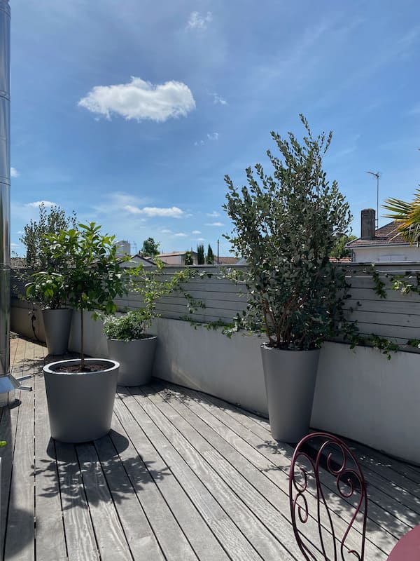 aménagement-terrasse portrait de Marie Lucie Troprès paysagiste à Bordeaux - entreprise Centaurea Design