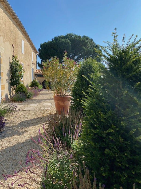 jardin-anglais portrait de Marie Lucie Troprès paysagiste à Bordeaux - entreprise Centaurea Design