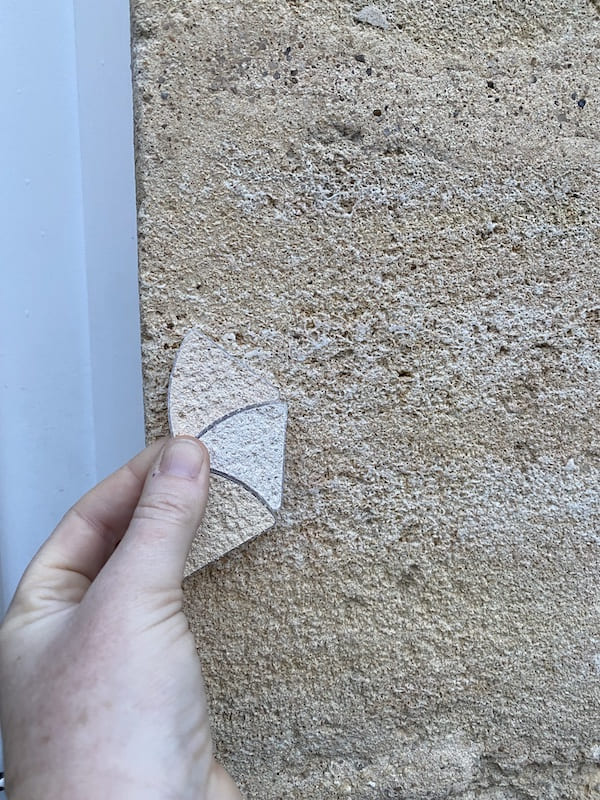 enduit-jardin-murette portrait de Marie Lucie Troprès paysagiste à Bordeaux - entreprise Centaurea Design