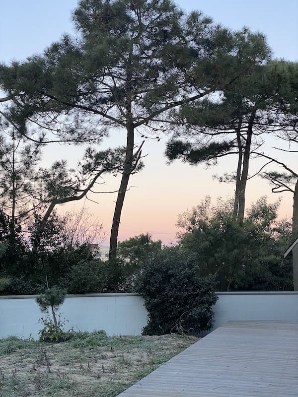 portrait de Marie Lucie Troprès paysagiste à Bordeaux - entreprise Centaurea Design